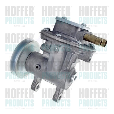 Vacuum Pump, braking system - HOF8091168 HOFFER - 1102986CA0000, 1102986CA0, 371130153