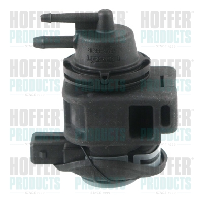 Pressure Converter, exhaust control - HOF8029220 HOFFER - 1495600QAL, 14956JD70A, 1495600Q1A