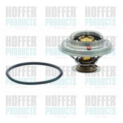 Thermostat, coolant - HOF8192466 HOFFER - 022121113, 3M218488AA, 95510611300