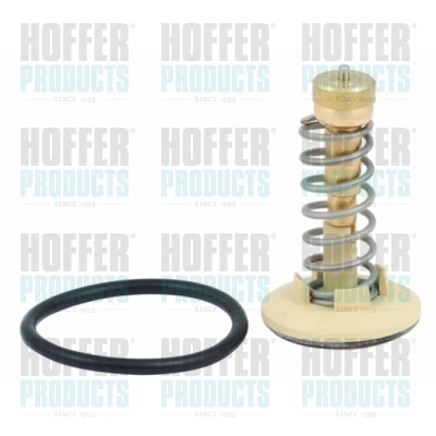 Thermostat, coolant - HOF8192646 HOFFER - 03C121110A, 113287, 350577A