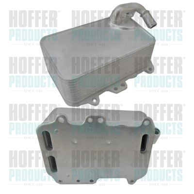 Oil Cooler, engine oil - HOF8095125 HOFFER - 059117015P, 059117021R, 31272