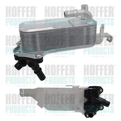 Oil Cooler, engine oil - HOF8095248 HOFFER - 7593856, 17217593856, 381590291