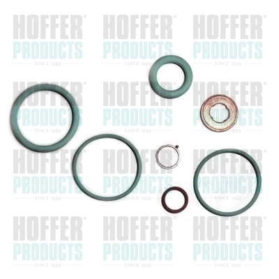 HOF9541, Repair Kit, injection nozzle, HOFFER, 0445120025*, 391990020, 83.1323, 9541, 8029541
