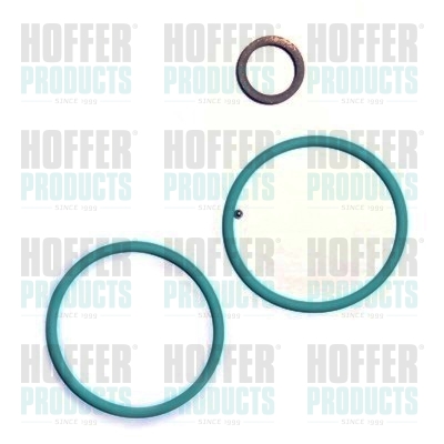 HOF9552, Repair Kit, injection nozzle, HOFFER, 0445120095*, 391990030, 83.1334, 9552, 8029552