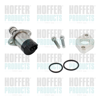 Repair Kit, fuel pump - HOF8029895 HOFFER - 8981454841, 101038, 392000201