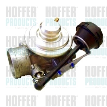 HOF7518097, AGR-Ventil, Ventil AGR/EGR, HOFFER, 038129637C, 045131501, 045131501D, 104611, 1145E0141, 14978, 14SKV206, 150-00-0932, 1500932, 310045, 330690142, 35789, 40429, 48705, 508-00117, 53076520BN, 555084, 571822112061, 70671037, 71-0094, 717710094, 72480957, 7301D, 7518097, 774763, 83.747AS, 88097, 881329022, 93216, 95575