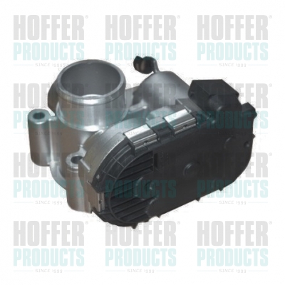 HOF7519258R, Throttle Body, HOFFER, 0003094V004, 1601410225, 0003094V006, A1601410225, 0003094V007, A0003094V004, A0003094V006, A0003094V007, 0205003055, 08920078, 14273, 240640248, 802000000154, 88.250R, 955253, 96670, C6319115, CTB76016AS, FLAI035R, V30-81-0019, 0205003056, 7519258R, 89258, 89258R