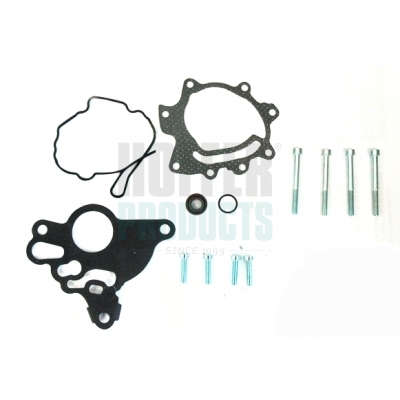 HOF91110, Repair Set, vacuum pump (braking system), HOFFER, 03G145215A, 03G145209C, 03G145209D, 03G145209Q, 03G145215B, 18SKV804, 29/6015K, 371330001, 8091110, 89.255, 91110, F009D00069