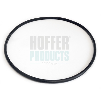 HOFGSK06, Těsnění, přípojka palivové nádrže, Těsnění, HOFFER, 0000153129, 0000153141, 153129, 153141, 29900010006, 320920028, 3.32028.00.0, 3.32038.00, 73085, 750GSK06, GSK06, V22-09-0031, 3.32038.00.0, V22-09-0032