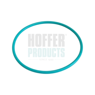 HOFGSK03, Těsnění, přípojka palivové nádrže, Těsnění, HOFFER, 46523406, 29900010008, 320920025, 73088, 750GSK03, GSK03, V24-09-0053