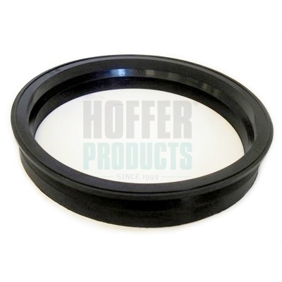 HOFGSK05, Těsnění, přípojka palivové nádrže, Těsnění, HOFFER, 1042628, 1069084, 98AP9276AB, 320920027, 73089, 750GSK05, FTC-0006, GSK05, V25-09-0030, FTC-0013