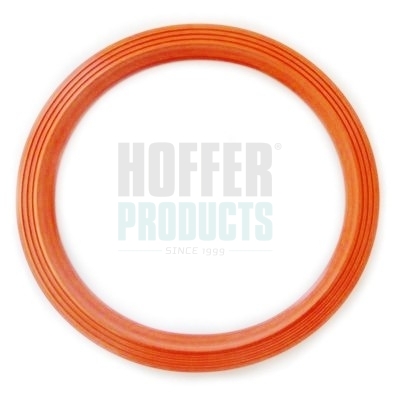 HOFGSK09, Těsnění, přípojka palivové nádrže, Těsnění, HOFFER, 1J0919087J, 1J0919133B, 8E0919133, 8E0919133A, 8E0919133G, 107969, 116128, 19920, 2250207, 30107969, 320920031, 47603, 73100, 750GSK09, 769987, FTC-0014, GSK09, P769987, T447603, V10-2553