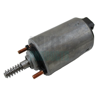HOF8091574, Řídicí prvek, excentrická hřídel (variabilní zdvih ventilu), Řídicí prvek, excentrická hřídel (variabilní zdvih ventilu), HOFFER, 11377509295, 11377548387, 7509295, 7548387, 001-10-26581, 08.12.088, 105904, 17239, 2411036, 27504, 381180072, 3813A0002, 633225, 7.09800.04, 8091574, 84.077, 91574, 96SKV086, A2C59515104, B1350100, ERZ-BM-000, SKAES-1920001, V20-87-0001, 7.09800.04.0, 87.077, V20-87-0001-1