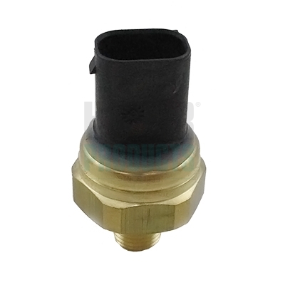 HOF8029825, Sensor, Kraftstoffdruck, HOFFER, 0045421618, A0045421618, 02.17.178, 0906315, 101406, 131942, 1473400, 15614, 171880, 25.0085, 392030079, 3942S0064, 51CP1001, 551950, 70669203, 7.11225.24, 792024, 8029825, 83.1632, 95SKV144, 9825, C6122112, CSN76M03, EFP-ME-002, FPS1008-12B1, SKSFP-1490063, V30-72-0233, 2501942, 7.11225.24.0, CSN76M03AS