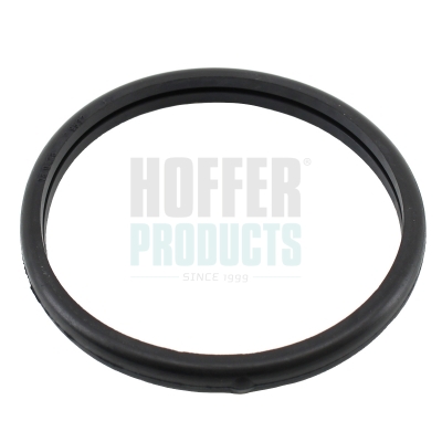 HOF01673, Dichtung, Thermostat, HOFFER, 6012000015, 6062030275, 6012000115, 6022000015, 6032000015, 6062090175, A6012000015, A6012000115, A6022000015, A6032000015, A6062030275, A6062090175, 01673, 382470046, 7.9532, 94.01673, 9101673