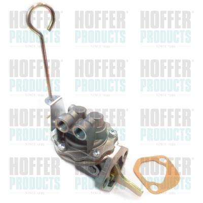 Kraftstoffpumpe - HOFHPON114 HOFFER - 25066027, 25066416, 2641313