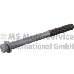 200807DC009, Cylinder Head Bolt, BF, 1451946, 1852442, 2212238, 102198, 110788