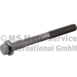 200807DS009, Cylinder Head Bolt, BF, 0346318, 346318, 05954, 1.10538, 14-32284-01, 820.334