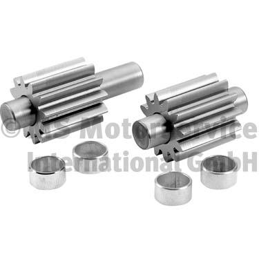 20140401699, Repair Kit, oil pump, BF, 271083, 276150, 86-10004-SX, 98581813, WG1804658, WG1815471