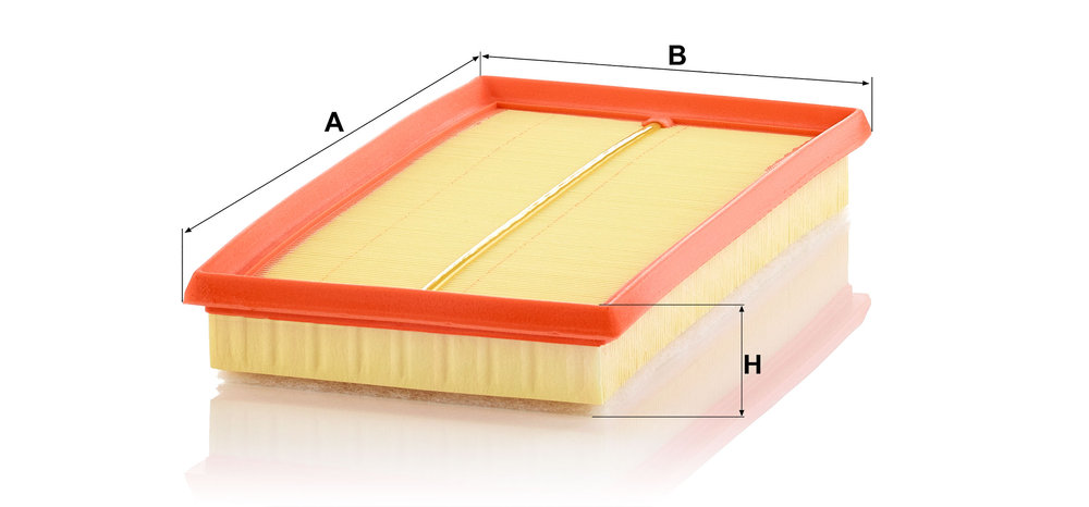 Air Filter - C 31 028 MANN-FILTER - 52080841, 153071762572, 1698456880 ...