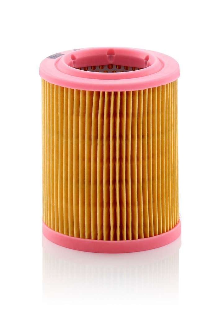 C 1024, Air Filter, MANN-FILTER, 627961124203