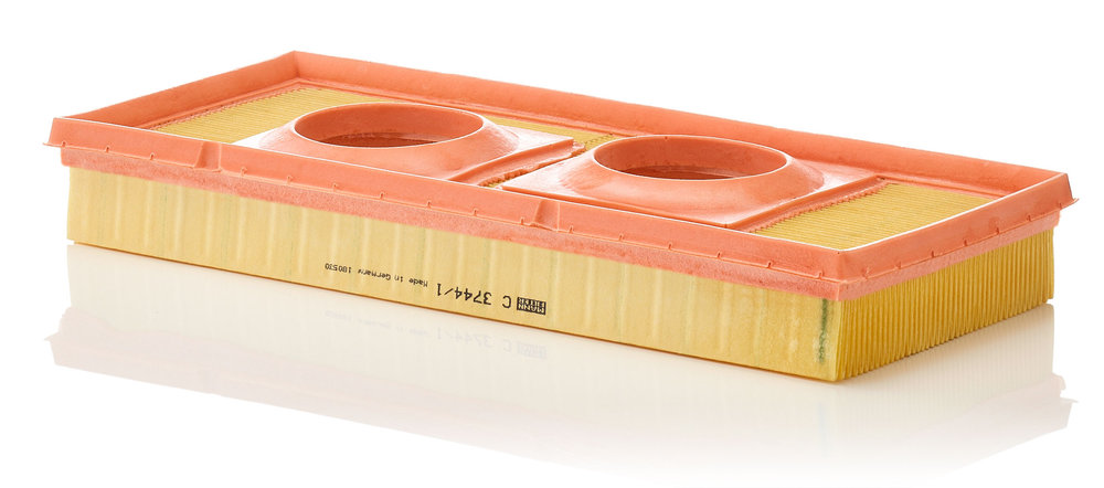 C 3744/1, Luftfilter, MANN-FILTER, 61006015000, LX4459