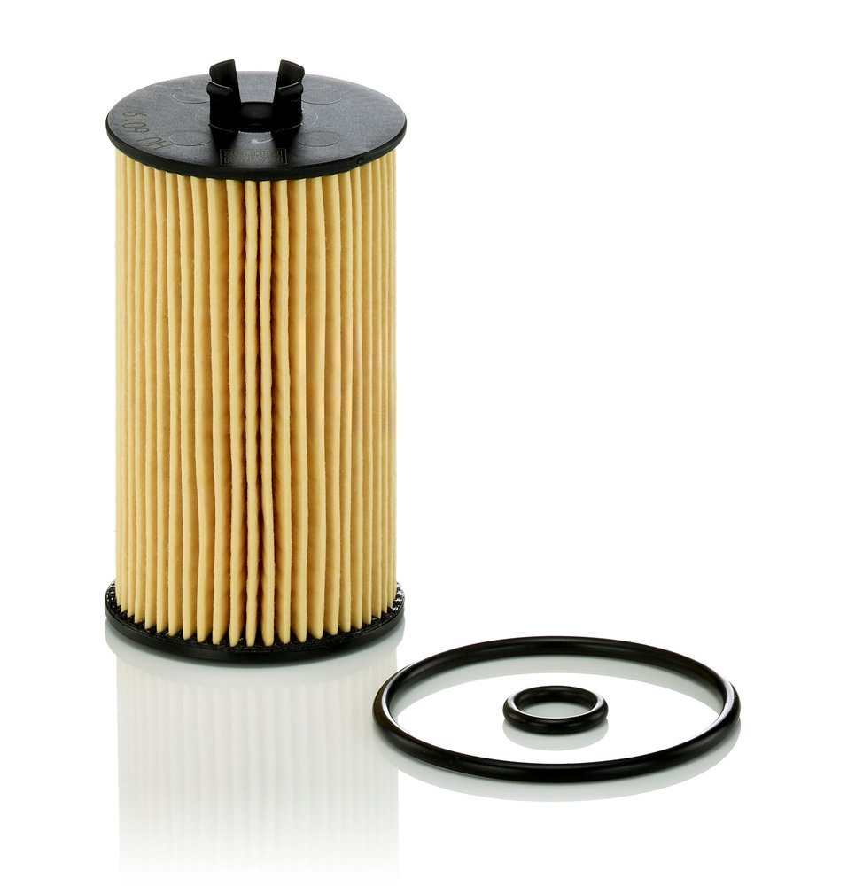 Oil Filter - HU 6019 Z MANN-FILTER - 55485671, 55588497, 650163 | K ...