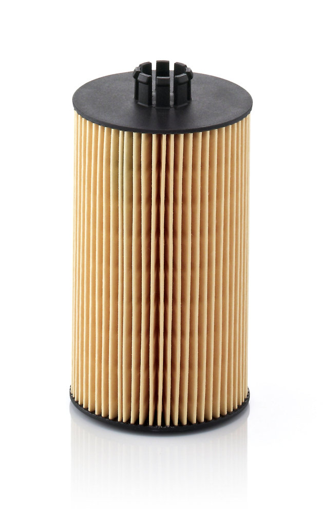 Filtre à air MANN-FILTER C 2931 au meilleur prix