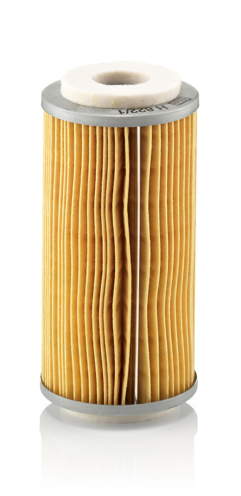 H 822/1 X, Kraftstofffilter, MANN-FILTER, 010283-AB, 0227040-7, 1003879, 104976AS, 11.2230, 149855, 21029, 3I-1190, 6426987, 74055563, 9021029, AR29586R, 0277050-8, 1015840, 156289AS, 175475, 5182041, 776725, 1015840M1, 227040, 432417, 5192854, 9Y-4409, 1015840M91, 277050, 432417R91, 5573482, 4055533, 5574961, 835787