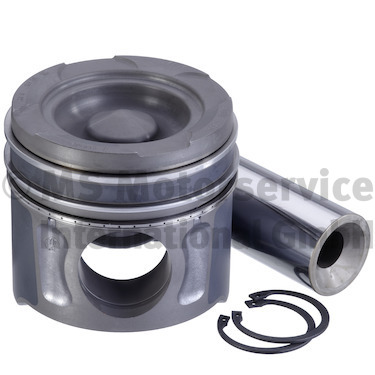42124612, Piston with rings and pin, KOLBENSCHMIDT, 51.02500-6465