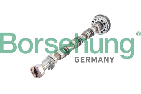 B12380, Vačkový hřídel, Vačka 2,0TDi/EX, Borsehung, Audi A1/A5/A6/A7/Q3/Q5/TT VW-Škoda Octavia-III/IV Superb Volkswagen Beetle Golf Passat Scirocco Sharan Tiguan 2,0TSi CHHA/CHHB/CULC/CXDA/DEDA/DNJA 2013+, 06J109022AT, 06J109022L, 06J109022P, 06K109022AS, 06K109022BQ