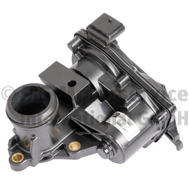 7.06567.18.0, EGR Valve, PIERBURG, 30668657, 8920003, WG2224567