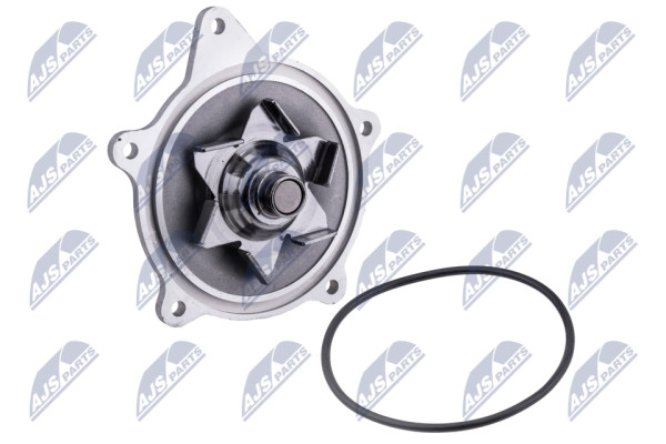 Water Pump, engine cooling - CPW-CH-001 NTY - 4448878, 4654392, 5010898AA