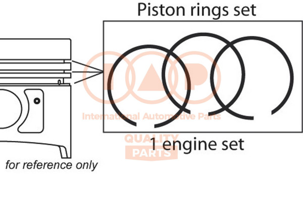 Piston Ring Kit - 102-11112 IAP QUALITY PARTS - 800119910000, PEY111SC0, PEY1-11-SC0