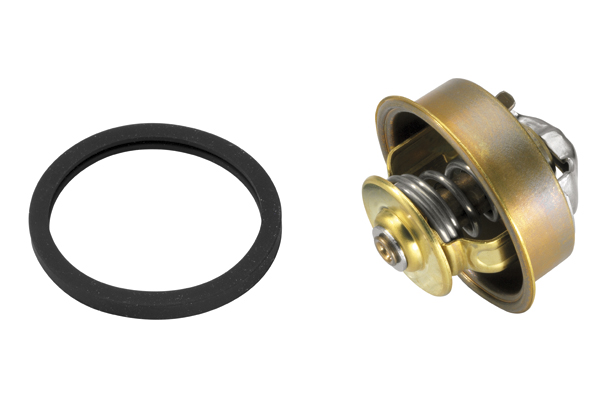 Thermostat D'eau Wahler 4022.82D Pour Nissan Terrano II - Neuf Avec Joint, 82°C