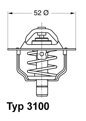 Thermostat, Kühlmittel - 3100.88D BorgWarner (Wahler) - 6994257, 95WM8575AA, 18973