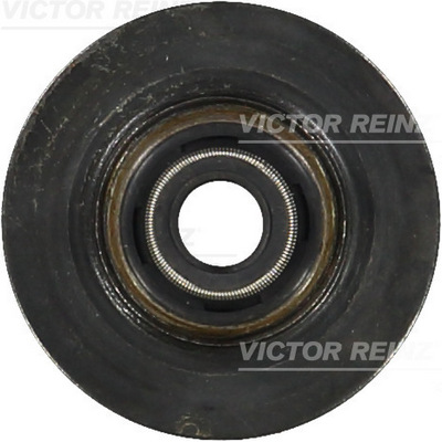 Těsnicí kroužek, dřík ventilu - 70-10437-00 VICTOR REINZ - 53021974AA, 925.920, P93191-01