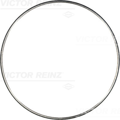 Ring Gear, crankshaft - 71-28368-00 VICTOR REINZ - 4030320309, 51.02130.0013, 31-028542-00