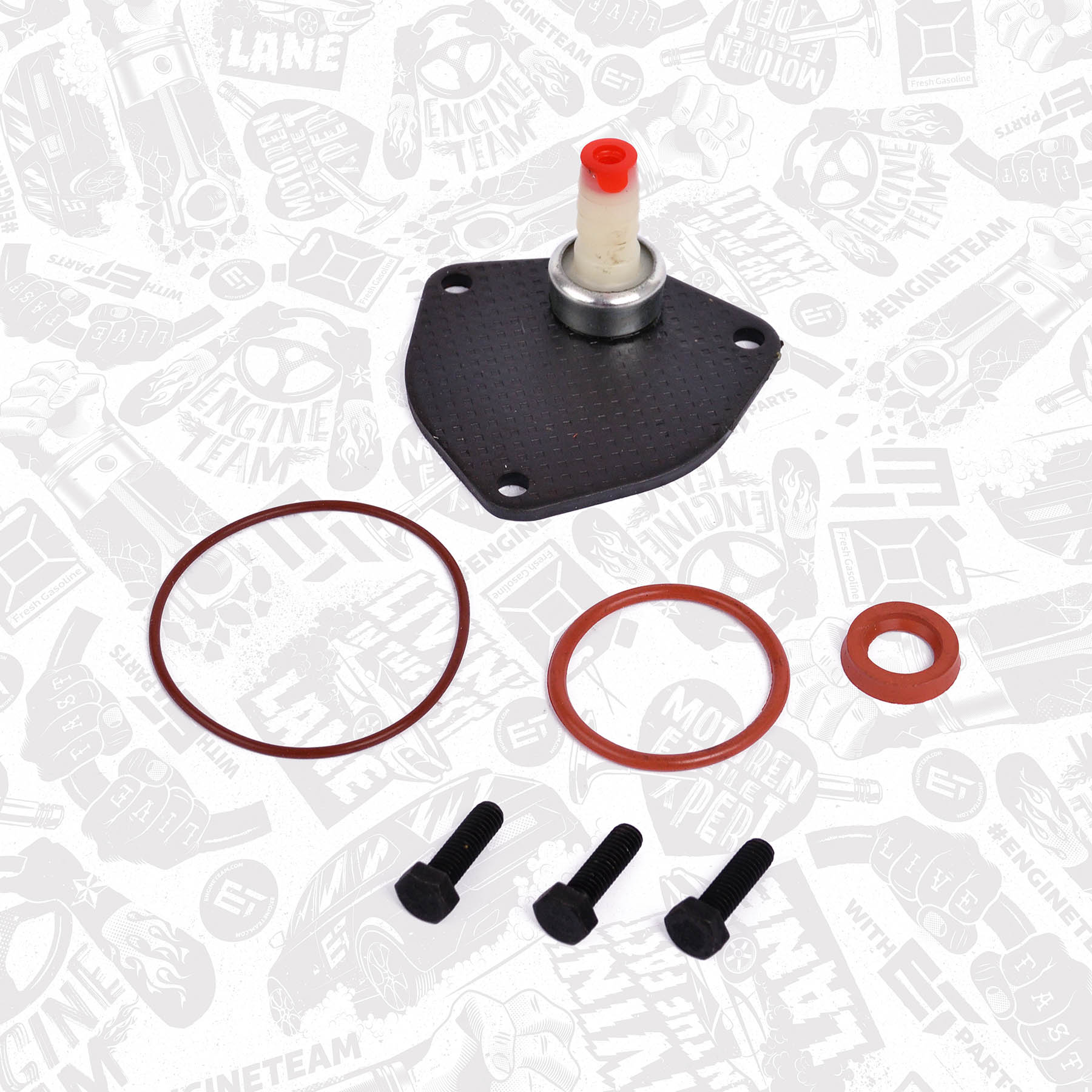 Repair Kit, vacuum pump (brake system) TM0027 ET